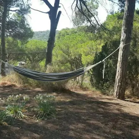 Homenfun Costa Brava 別荘